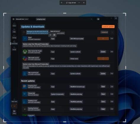 Copiar texto desde la pantalla Windows 11