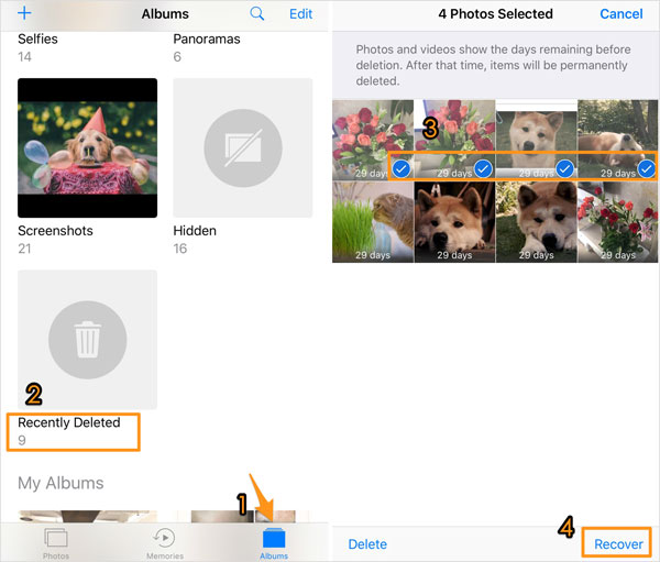 Obtenga un Tiktok eliminado de la aplicación de fotos de iPhone