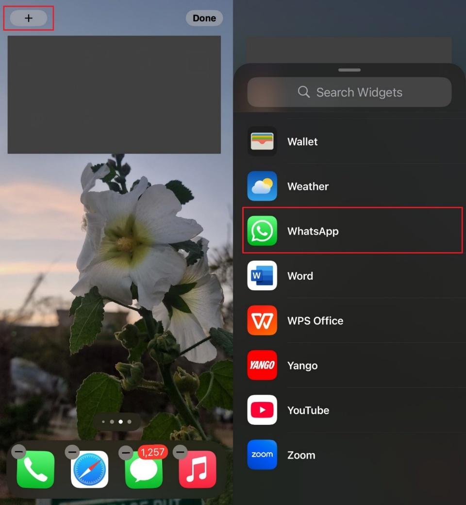 Presione más el icono y continúe