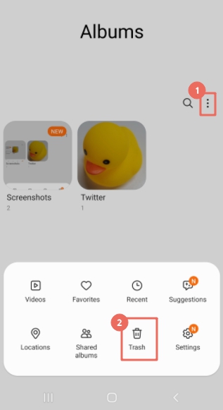 Recuperarse de Google Photo Trash