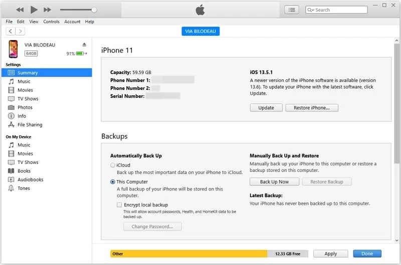 Volver a iPhone y actualizar a través de iTunes