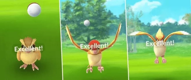 Practica tirar para atrapar Pokémon regional