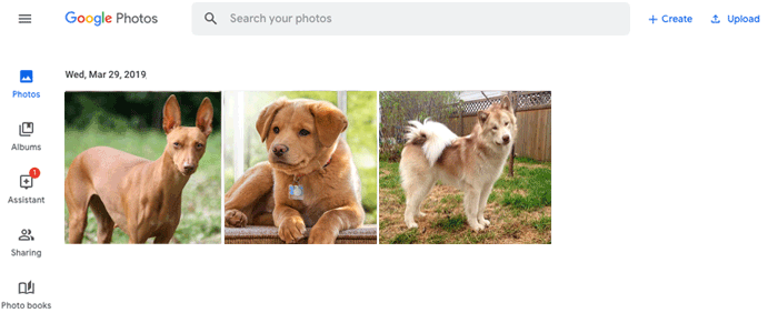 Cómo recuperar archivos eliminados de OnePlus con Google Photos